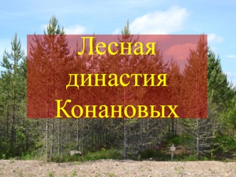 Династия Конановых