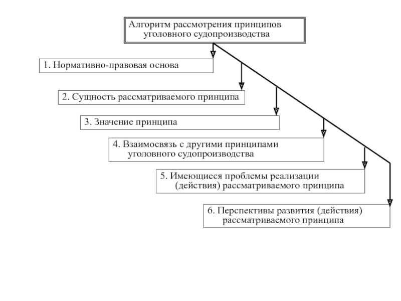 Принципы рассмотрения дела. Взаимосвязь принципов уголовного процесса схема. Взаимосвязь и соотношение принципов уголовного процесса схема. Соотношение принципов уголовного процесса схема. Принципы уголовного судопроизводства схема.