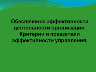 Обеспечение эффективности деятельности организации. Критерии и показатели эффективности управления