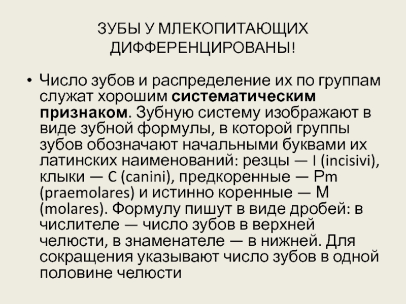 Гетеродонтная дифференцированная зубная система есть у льва. Зубы млекопитающих дифференцированы. Что значит дифференцированные зубы.