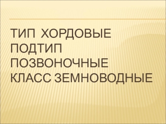 Тип Хордовые. Подтип Позвоночные. Класс Земноводные