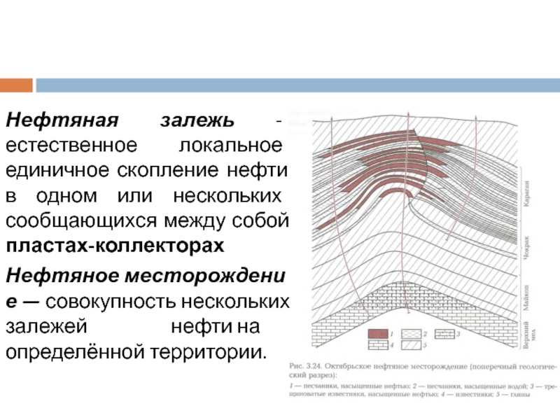 Проект разработки месторождений