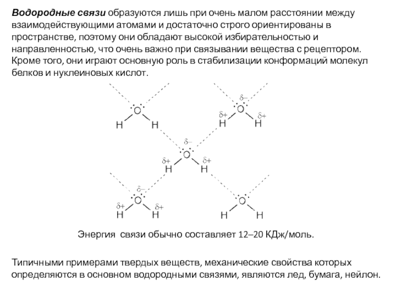 Водородная связь образуется