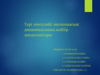 Тері эпителийі эволюциялық динамикасының кейбір заңдылықтары