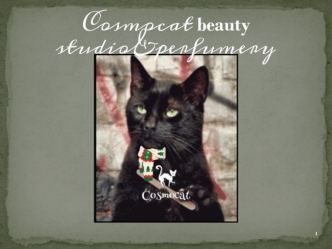 Cosmocat beauty studio&perfumery