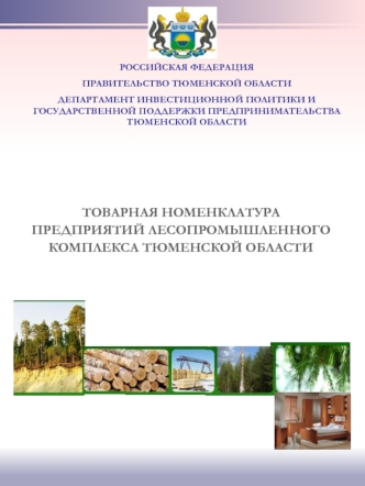 Товарная номенклатура предприятий лесопромышленного комплекса Тюменской области