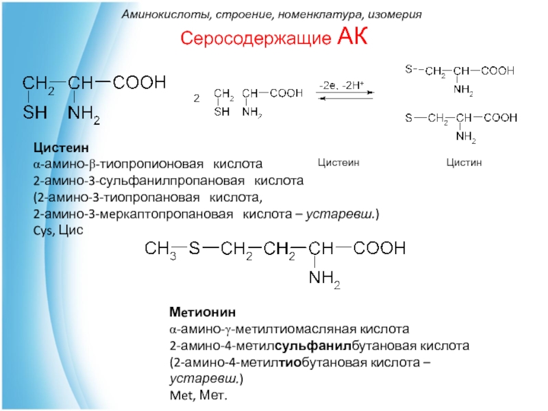 Технологическая карта аминокислоты