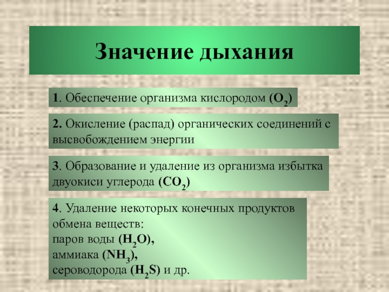 Значение дыхания 8 класс. Распад и окисление органических веществ. Распад и окисление органических веществ в клетках. Кислородное обеспечение организма. Конечные продукты кислородного окисления органических веществ это.