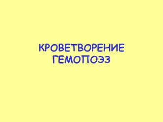 Кроветворение (гемопоэз)