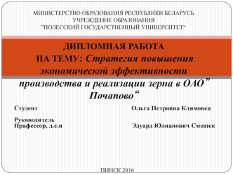 Стратегия повышения экономической эффективности производства и реализации зерна в ОАО”Почапово“