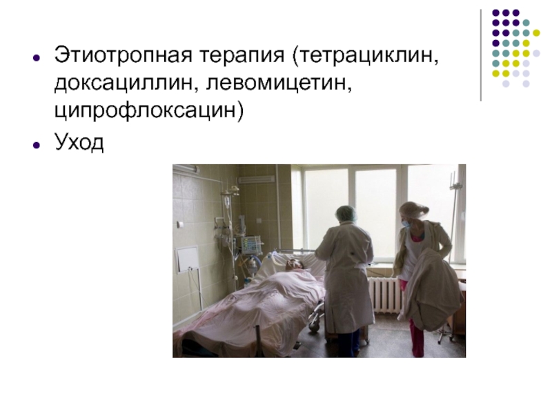 Холера сейчас в россии