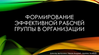 Формирование эффективной рабочей группы в организации