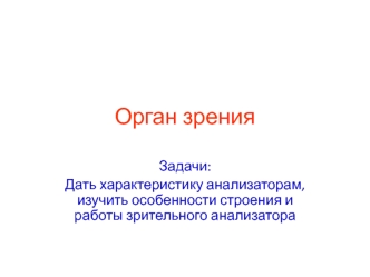 Орган зрения