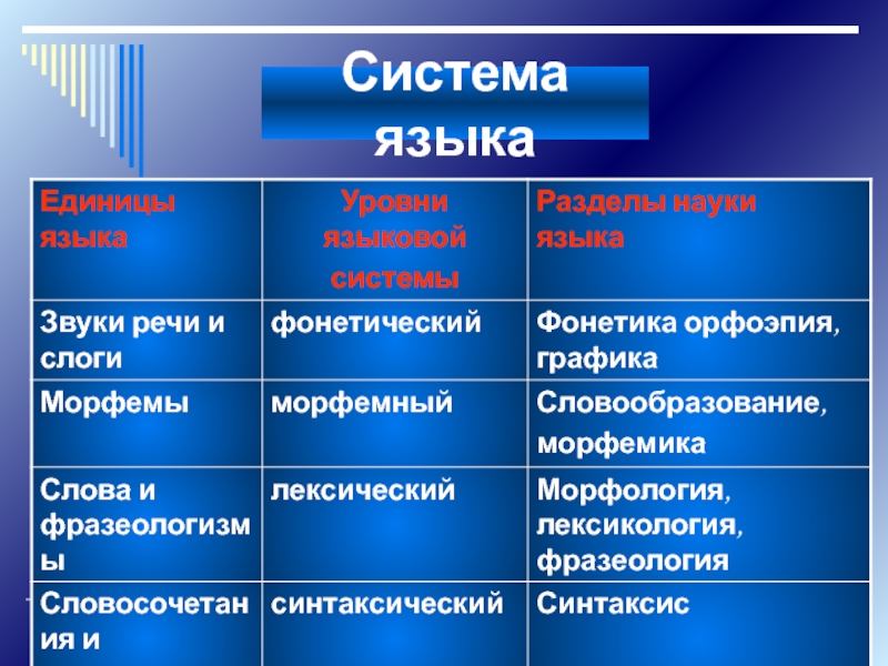 Единицы языка уровни языковой системы презентация 10 класс