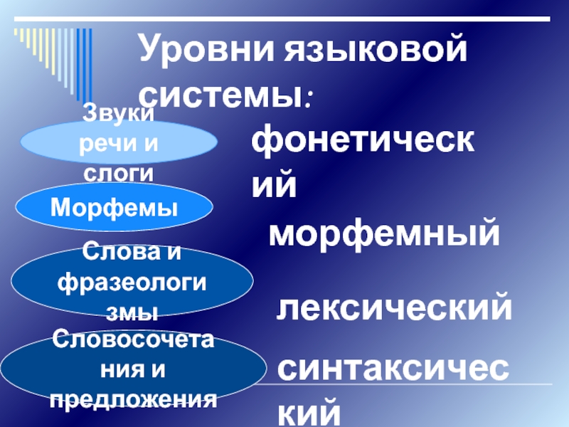 Единицы языка уровни языковой системы презентация 10 класс