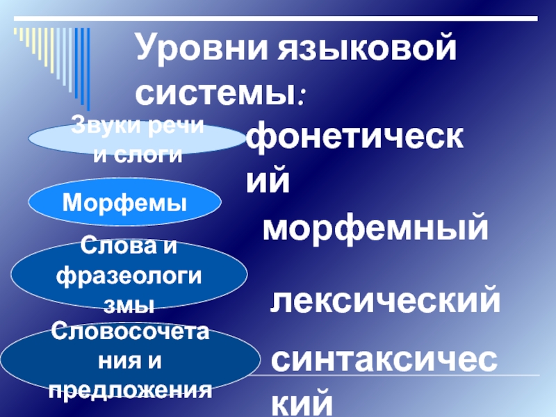 Лингвистическая система. Уровни языковой системы. Уровни лингвистики. Единицы и уровни языковой системы. Все уровни языковой системы.