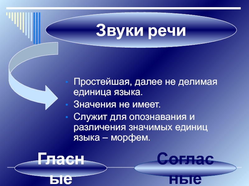 Единицы языка уровни языковой системы презентация 10 класс