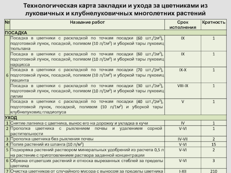 Технологическая карта растений