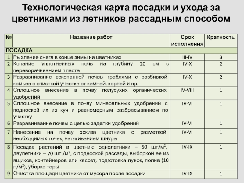 Технологическая карта посева семян