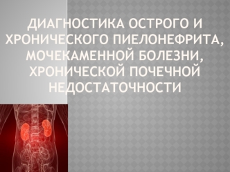 Диагностика острого и хронического пиелонефрита, мочекаменной болезни, хронической почечной недостаточности