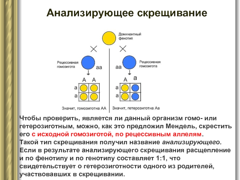 Типы скрещенные