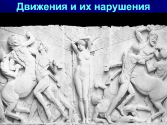 Неврология. Лекция 3. Движения и их нарушения