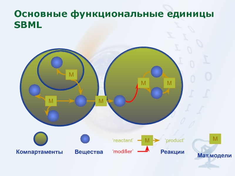 Поведение 6 класс биология презентация