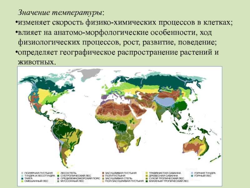 Распределение растительности. Географическое распространение животных. Закономерности распространения животных. Географическое распределение животных. Географическое распространение цветка.