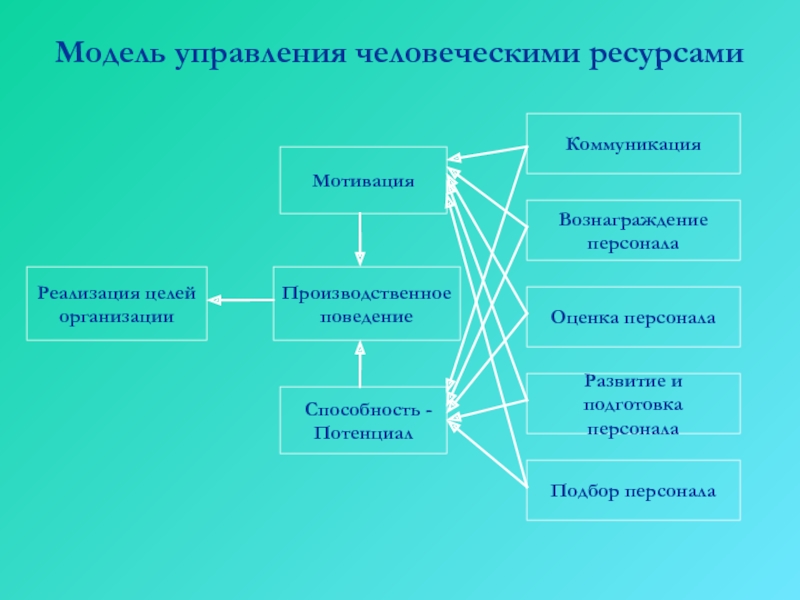 Управление человеческими ресурсами учебный план