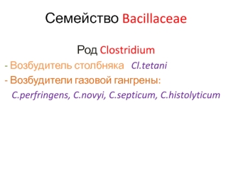 Семейство Bacillaceae