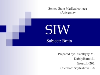 SIW Brain Structure and Function