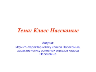 Класс Насекомые