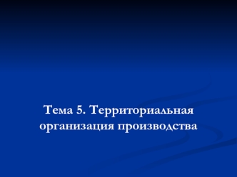 Территориальная организация производства