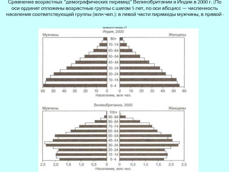 Сравнение возраста. Половозрастная пирамида населения России 2000. Демографическая пирамида Индии в 2000. Половозрастная пирамида Великобритании. Возрастная пирамида Индии.