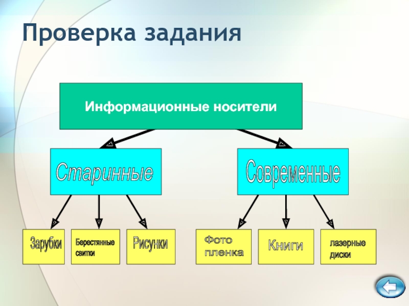 Информационные модели в виде изображения на носителе информации называются