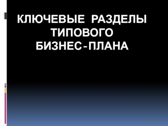 Ключевые разделы типового бизнес-плана