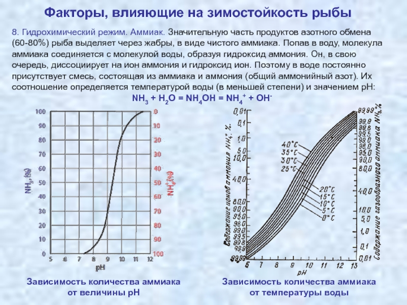 Какой газ выделяет рыба в воду. Гидрохимический режим. Температура аммиака. Гидрохимический режим водохранилищ. Гидрохимические показатели рыб.