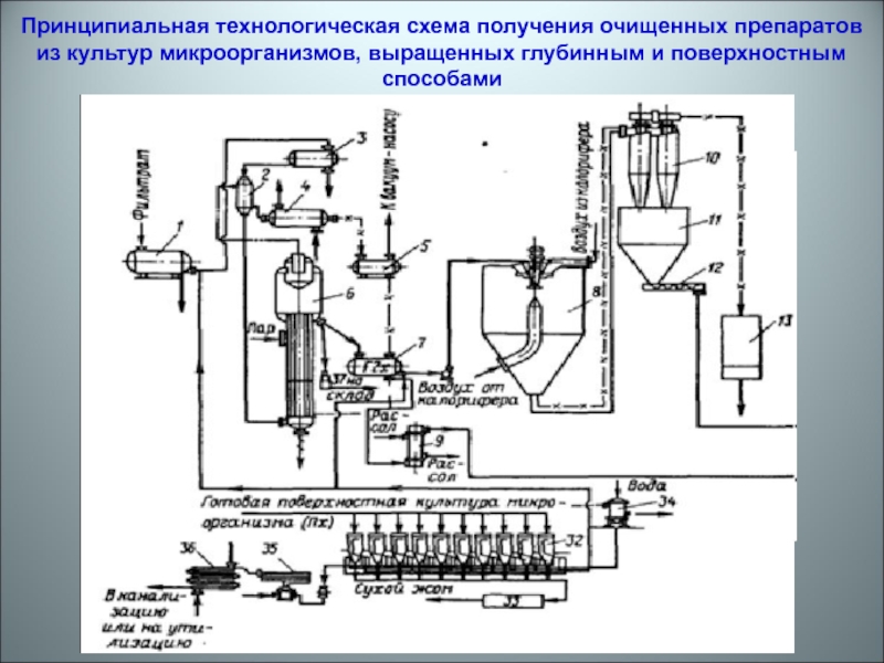 Принципиальная технологическая схема это