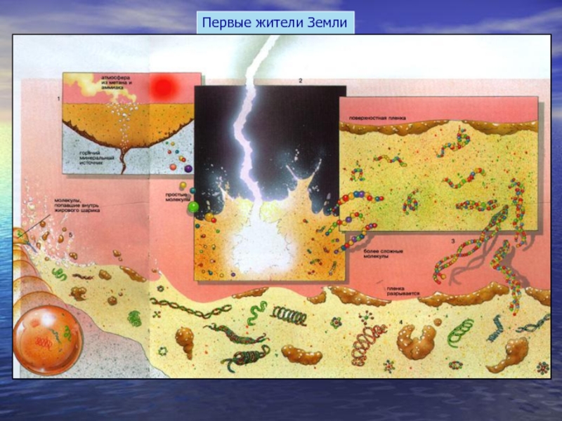 Первичный бульон. Зарождение клетки на земле. Появление жизни в первичной земле. Появление первой клетки на земле. Химический бульон зарождения жизни на земле.