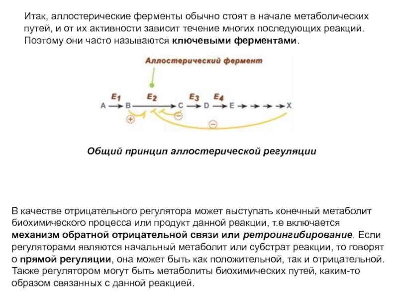 Аллостерическая регуляция активности ферментов