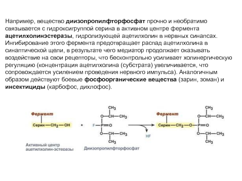 Вещества например. Диизопропилфторфосфат ингибирует. Ацетилхолин фермент. Механизм ферментативной реакции на примере ацетилхолинэстеразы. Диизопропилфторфосфат необратимо ингибирует фермент.