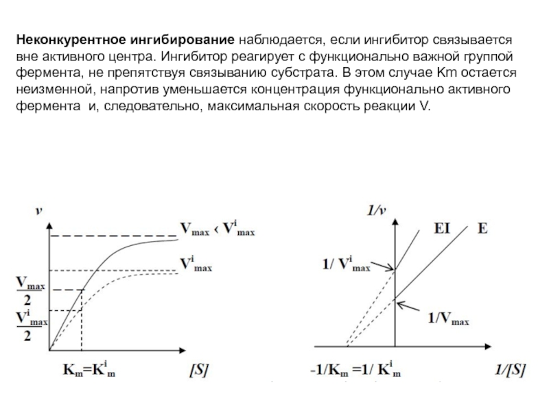 Неконкурентное ингибирование схема