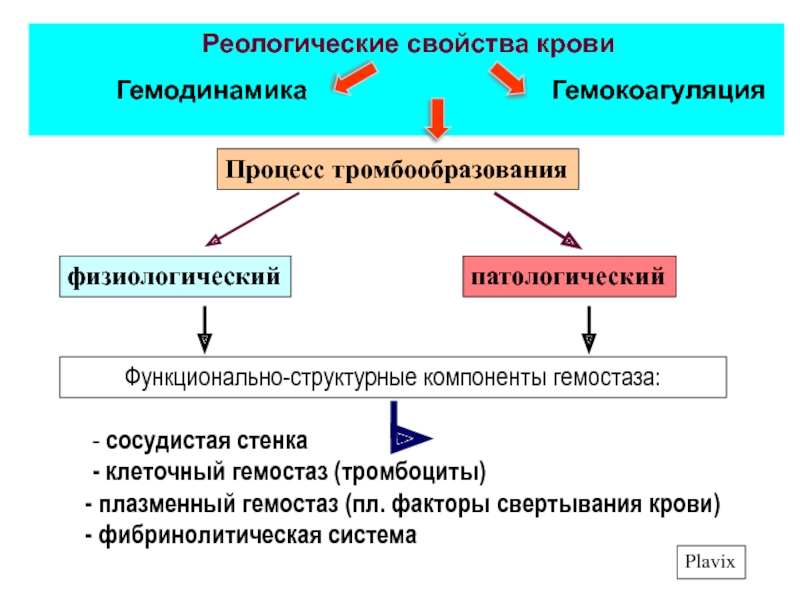 Реология крови презентация