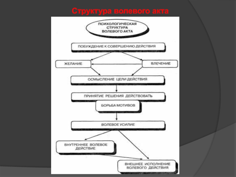 Психологическая структура волевого акта схема