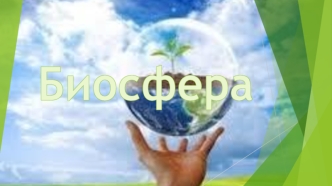 Биосфера. Биогеография