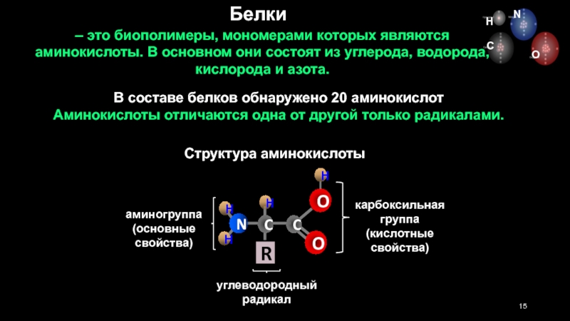 Белки как природные биополимеры проект