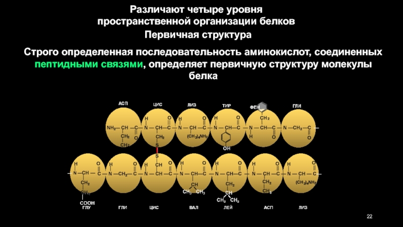 Уровень пространственной организации