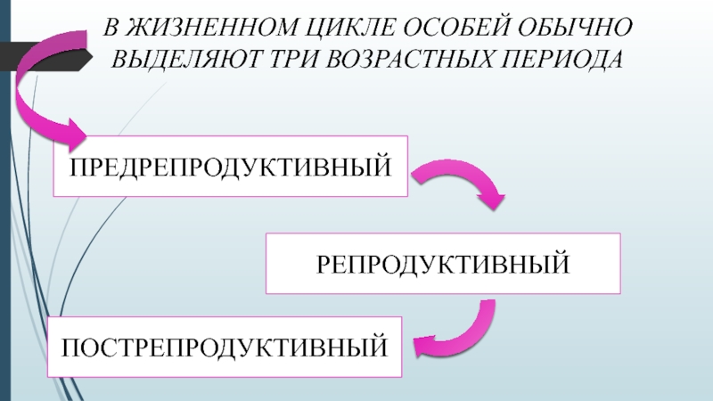 Обычно выделяется. Репродуктивный и пострепродуктивный. Репродуктивный и пострепродуктивный периоды. Репродуктивный период пострепродуктивный период. Репродуктивный продуктивный постпродуктивный.