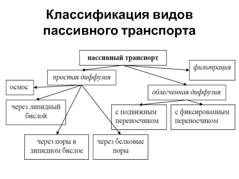 Классификация транспорта