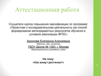 Аттестационная работа. Как живут растения